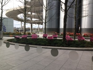 IMG_3586