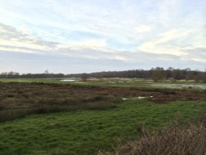 IMG_4286