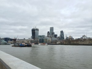 IMG_3649